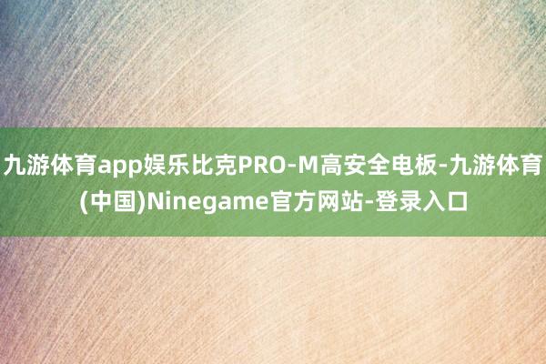 九游体育app娱乐比克PRO-M高安全电板-九游体育(中国)Ninegame官方网站-登录入口