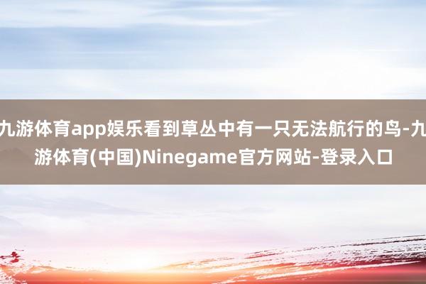 九游体育app娱乐看到草丛中有一只无法航行的鸟-九游体育(中国)Ninegame官方网站-登录入口