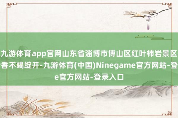 九游体育app官网山东省淄博市博山区红叶柿岩景区的郁金香不竭绽开-九游体育(中国)Ninegame官方网站-登录入口