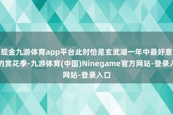 现金九游体育app平台此时恰是玄武湖一年中最好意思的赏花季-九游体育(中国)Ninegame官方网站-登录入口