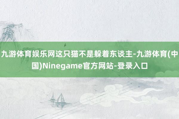 九游体育娱乐网这只猫不是躲着东谈主-九游体育(中国)Ninegame官方网站-登录入口