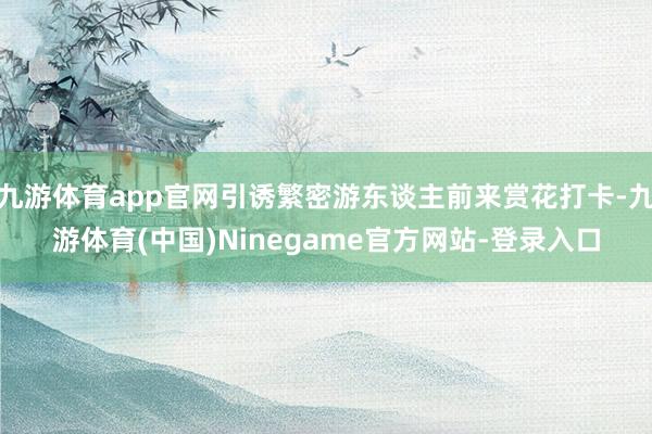 九游体育app官网引诱繁密游东谈主前来赏花打卡-九游体育(中国)Ninegame官方网站-登录入口